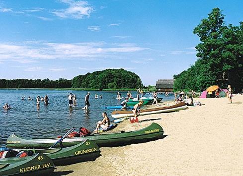 Gruppenbungalow-Waldhaus-Am Ferienpark Mirow Zewnętrze zdjęcie